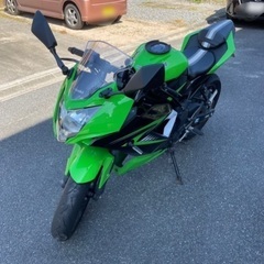 Ninja250sl  ヨシムラマフラー装着車　カスタム多数