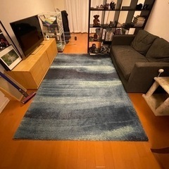 IKEA SÖNDERÖD ソンデロード ラグ パイル長, ブルー170x240 cm の画像