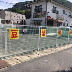 豆柴犬ブリーダー・豆柴飼育スタッフ募集の画像