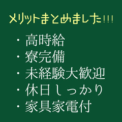 嬉しいWi-Fi寮完備の機械操作スタッフ