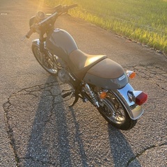 ボルティー 250 実働車　一時抹消済みの画像