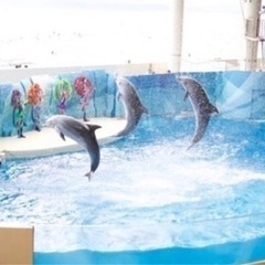無料〜半額で新江ノ島水族館＆江の島