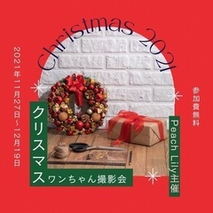 ワンちゃんのクリスマス無料撮影会