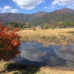 ウォーキングメンバー募集！！