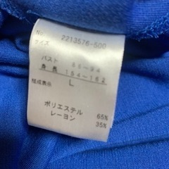 綺麗な色のワンピースですの画像