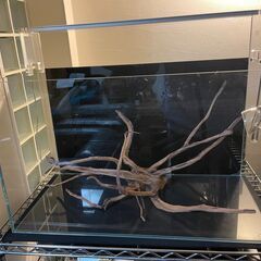 水槽 ADA60cm 照明アクアスカイADA　その他　【値下げし...