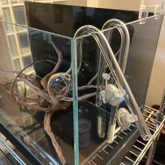 水槽 ADA60cm 照明アクアスカイADA　その他　【値下げしました】の画像