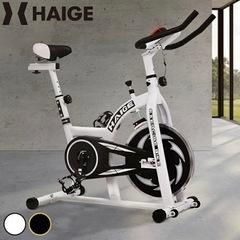 ほぼ新品　スピンバイク エアロ フィットネス