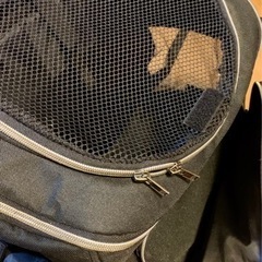 ペットリュックキャリーの画像