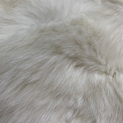 成人式など　ファー　あげますの画像