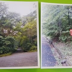 那須の土地（山林）400平米