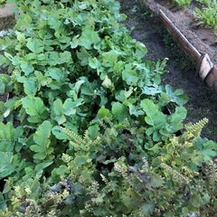 デイサービスのパートさん募集しますの画像