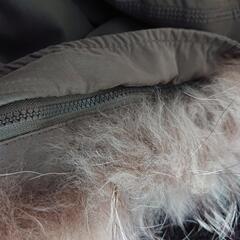 モッズコートの画像