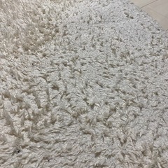 ラグの画像