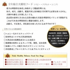 ドッグフード　サンプル無料プレゼントの画像