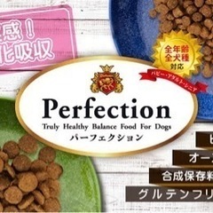 ドッグフード　サンプル無料プレゼントの画像