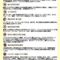 ドッグフード　サンプル無料プレゼントの画像
