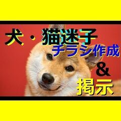 ペットの迷子チラシ作成代行します★犬猫　迷子/保護チラシ作成と掲...