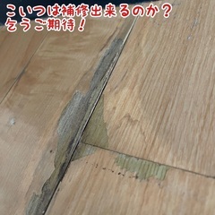福岡市中央区舞鶴にて分譲賃貸マンションの退去後現状回復工事の見積...