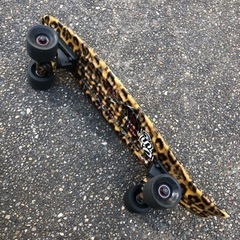 ミニクルーザー　globeの画像