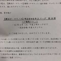 横浜Fマリノス 明治安田生命J1リーグ 第38節ペア観戦チケット
