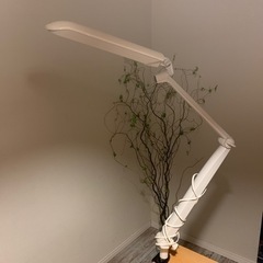 デスクライト