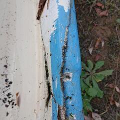 【値引き可】ヤマハ シーパック10 2馬力ボート 【引取限定】の画像