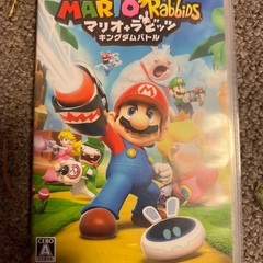 マリオラビッツ