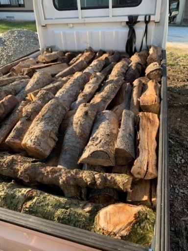 約220kgの薪どうですか？