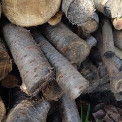 ②好評ありがとうございます❗️
広葉樹の乾燥原木❗️