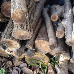 ②好評ありがとうございます❗️
広葉樹の乾燥原木❗️の画像