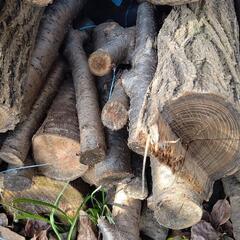 ②好評ありがとうございます❗️
広葉樹の乾燥原木❗️の画像