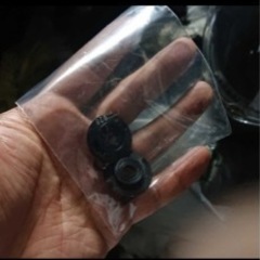 シンプソンシールドの画像