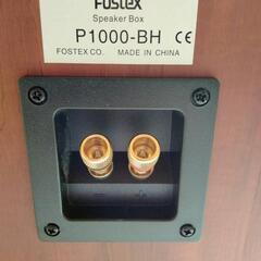 Fostex スピーカー　二本ペア　P1000-BH　FE103NVの画像