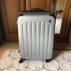 海外用　旅行カバン　実質無料