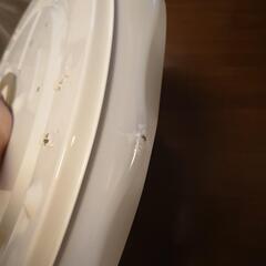 【割れあり】シーリングライト【無料】の画像