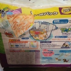 大型犬　介護用オムツ格安の画像