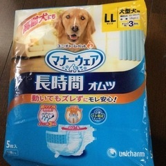 大型犬　介護用オムツ格安の画像