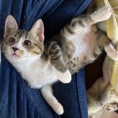 里親様決まりました　寄り目の👀より君！