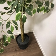 フェイクグリーン【イケア 購入】の画像