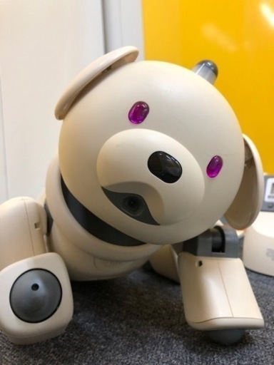 懐かしのアイボ(ラッテ)をお譲りします