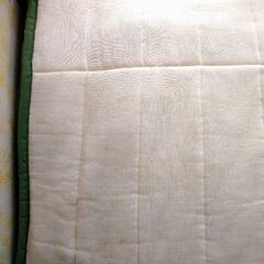 肌布団グリーン/シングル西川の画像