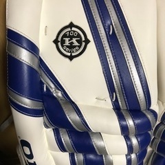 アイスホッケー　レガード　キーパーの画像
