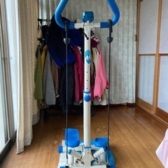 足踏み健康器具の画像