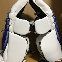 アイスホッケー　レガード　キーパーの画像