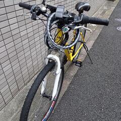 マウンテンバイクの画像