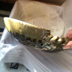 19.美濃焼　器の画像