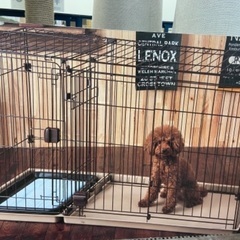 犬用ゲージの画像