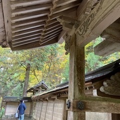 11月28日✨  京都観光しませんか？ - 京都市