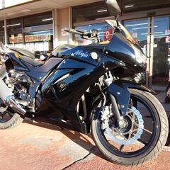 NO.4083　Ｎｉｎｊａ２５０Ｒ（ニンジャ２５０Ｒ） 水冷４サ...